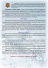 Настільна гра "Ралі"