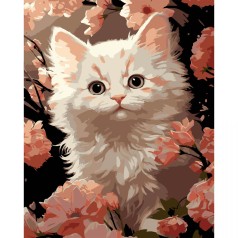 Картина по номерам на черном фоне "Белый котенок" 40х50 см