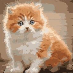 Картина по номерам "Напуганый котенок" ★★★★