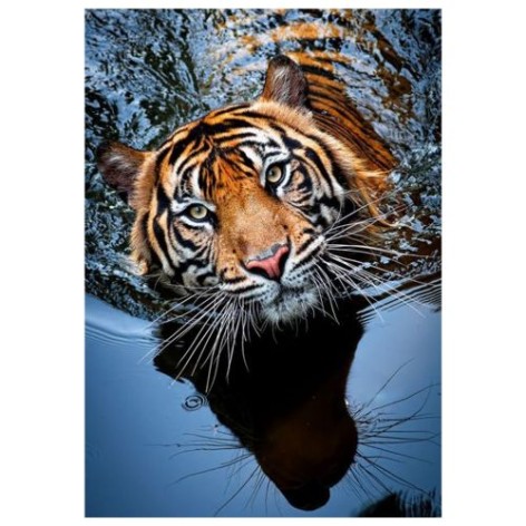 Алмазная мозаика "Тигр на отдыхе"