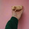 Набор резиновых домашних животных, 6 штук
