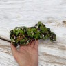 Бластер с мягкими патронами (зеленый)