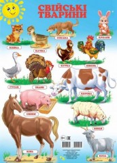 Плакат детский "Домашние животные", 42,5 х 60,5 см (укр)