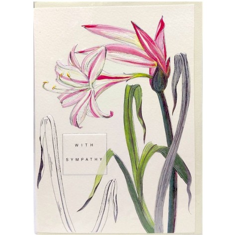 Открытка 167х118 мм, набор 10 шт.