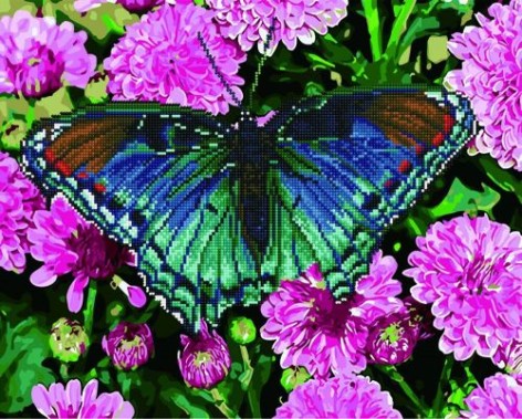 Картина за номерами + Алмазна мозаїка "Метелик у квітах" ????