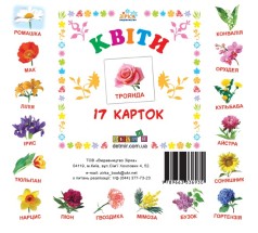 Карточки мини "Квіти"(17 карточек 11х11) (укр)