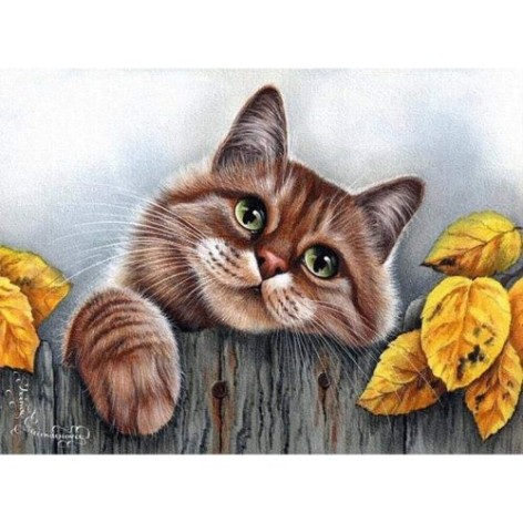 Алмазна мозаїка "Котик на перелазі"