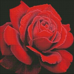 Алмазная мозаика "Красная роза" 40х40 см