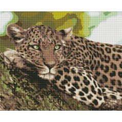 Алмазная мозаика "Отдых хищника" 40х50 см