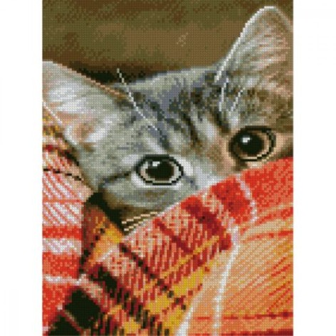 Алмазная мозаика 