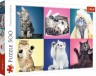 Пазли "Котики", 500 елементів