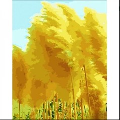 Картина по номерам 