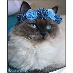 Алмазная мозаика "Котик в голубом веночке", 30х40 см
