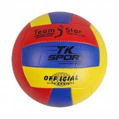 Мяч волейбольный D-21 см сине-красный