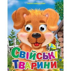 Книга Очі 