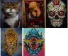 Полотно с контурами рисунка (к полотну прикреплены засохшие краски и кости)50х40 (МІКС ВИДОВ)