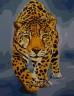 Полотно с контурами рисунка (к полотну прикреплены засохшие краски и кости)50х40 (МІКС ВИДОВ)