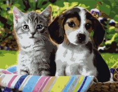 Картина по номерам "Котенок и щеночек" ★★★