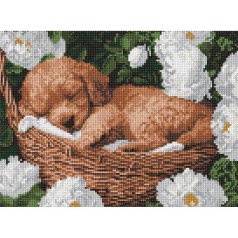 Алмазная мозаика "Спящий пудель" 30x40см