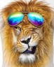Картина по номерам "Лев в очках" ★★★★