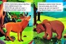 Книга картонна "Перлинка: У лісі" (укр)