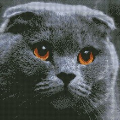 Алмазная мозаика "Котик"