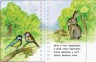 Книга "Перші кроки: Пори року"
