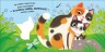 Книжка "Мой дорогой малыш: Мой любимый котенок" (укр)