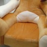 М'яке дитяче крісло Собачка 70 х 60 х 60 см (медова)