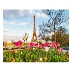 Картина по номерам "Весна в Париже" 40х50 см