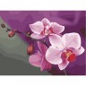 Уценка. Картина по номерам "Розовые орхидеи"  - грязные углы