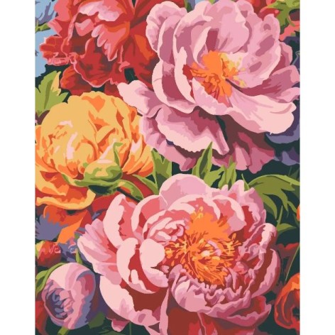 КАРТИНА ПО НОМЕРАМ "Цветочная радуга" 40*50 см