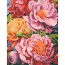 КАРТИНА ПО НОМЕРАМ "Цветочная радуга" 40*50 см