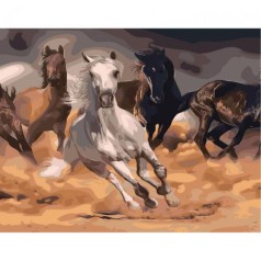 Картина по номерам "Скорость"