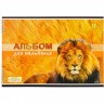 Альбом для малювання 30 арк, мікс
