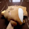 МЯГКАЯ ИГРУШКА КАПИБАРА С ПЛЕДОМ 26 СМ (КОРИЧНЕВАЯ)