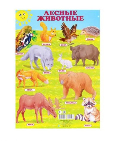 Плакат дитячий "Лісові тварини", 42,5 х 60,5 см (рус)