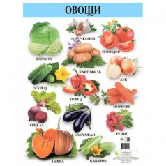 Плакат детский "Овощи", 42,5 х 60,5 см (рус)