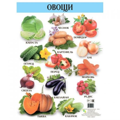Плакат дитячий "Овочі", 42,5 х 60,5 см (рус)