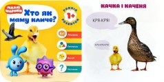 Книжка 