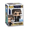Игровая фигурка FUNKO POP! серии "Гарри Поттер" S20 - ГАРРИ С ГЭДВИГОЙ