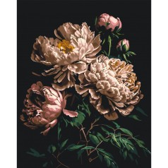 Картина по номерам "Белые пионы" 40x50 см