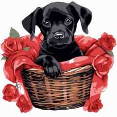Картина по номерам "Черный щенок с розами" 20х20 см
