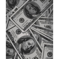 Картина по номерам "Money" 40х50 см
