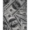 Картина по номерам "Money" 40х50 см