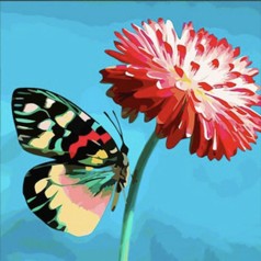 Алмазна мозаїка "Метелик на квітці", 30х30