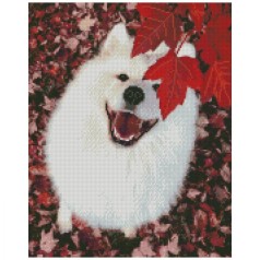 Алмазна мозаїка "Білий пес" 40х50 см