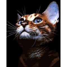 Картина по номерам "Рыжий котик" 40х50 см
