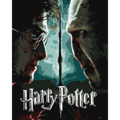 Картина по номерам с красками металлик "Harry Potter: Гарри и Волдеморт" 40х50см