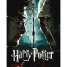 Картина по номерам с красками металлик "Harry Potter: Гарри и Волдеморт" 40х50см